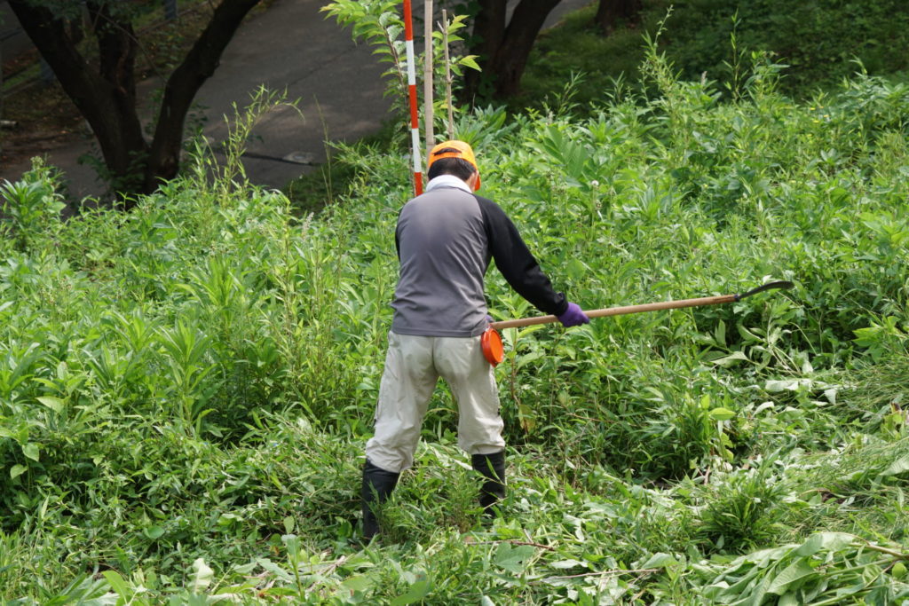 弥陀ヶ原を手鎌で草刈り！！