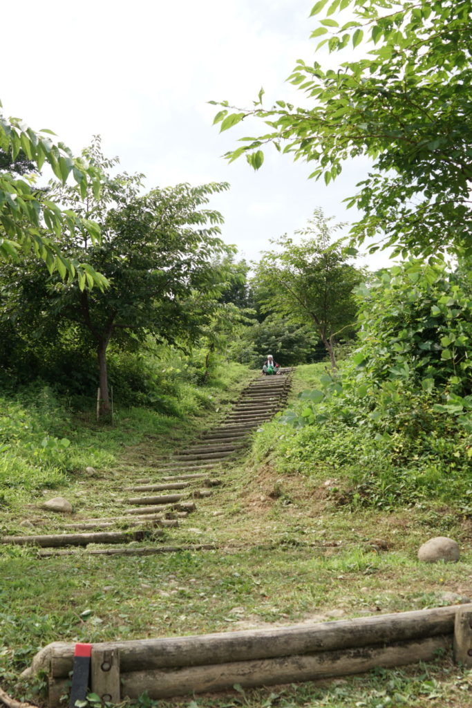 すっかり綺麗になりました。