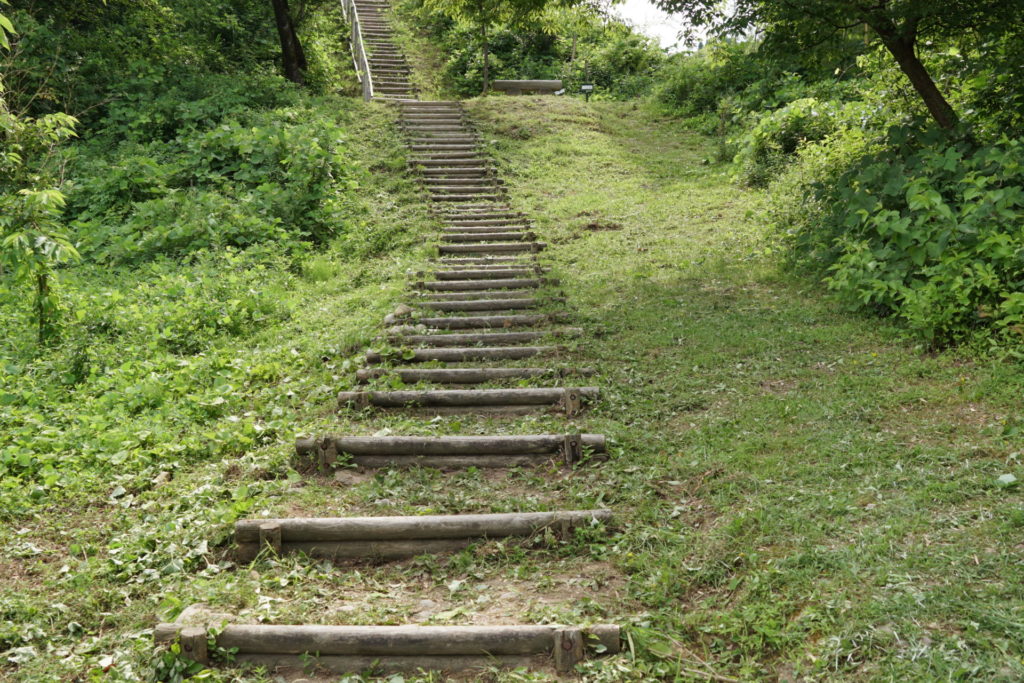 すっかり綺麗になりました。