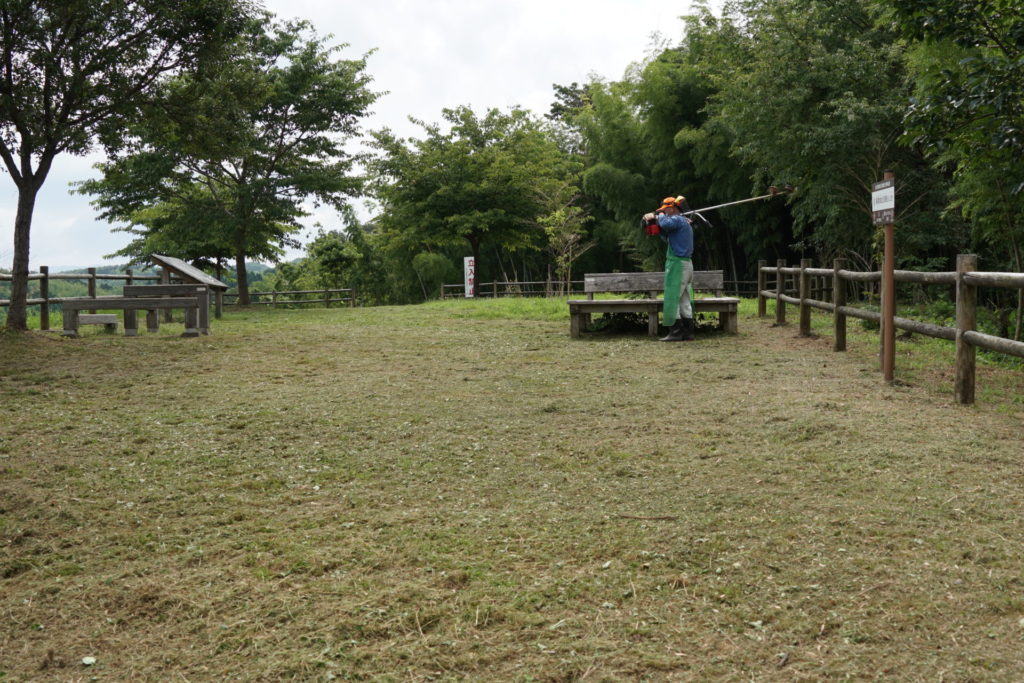 すっかり綺麗になりました。