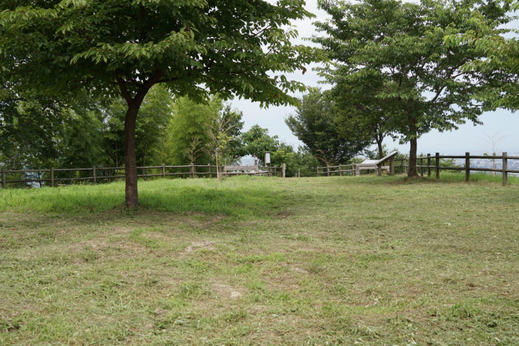 すっかり綺麗になりました。